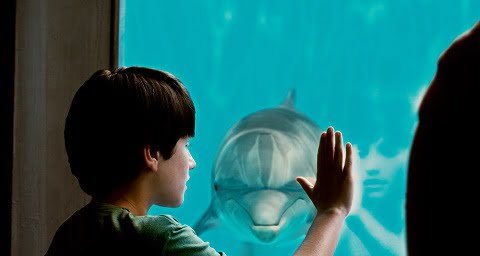 Dolphin Tale