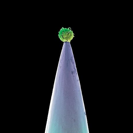 peter gabriel new blood cover