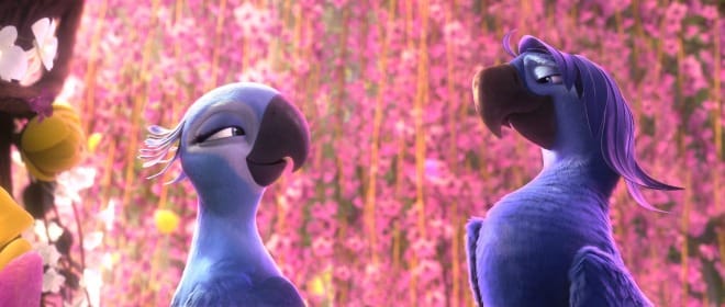 Rio2_jelenetfoto (14)