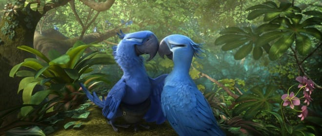 Rio2_jelenetfoto (9)