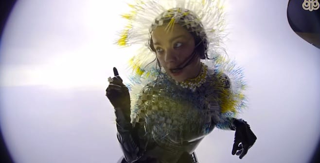 bjork-video