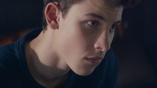shaw-mendes