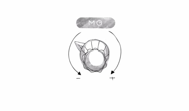 mg-video