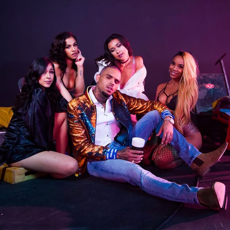 Dalpremier: Chris Brown - Privacy