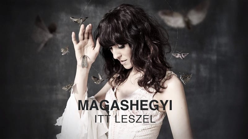 Pont ez kellett az idei nyárhoz: megjelent a Magashegyi új dala!