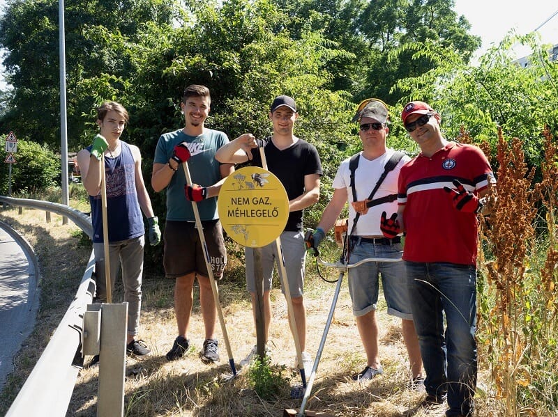 Gaznak nézte a Fidelitas a méhlegelőt, fogták magukat és lekaszálták